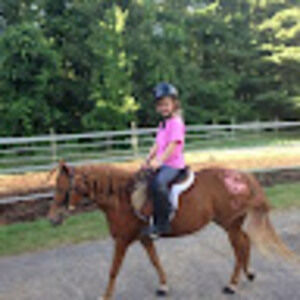 Meet your Posher, Audrey